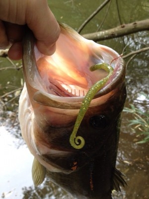 hideup 讓ｪ螻ｱ逶ｴ莠ｺ 繝悶Ο繧ｰ蜀咏悄 2014/03/01