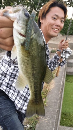 hideup 讓ｪ螻ｱ逶ｴ莠ｺ 繝悶Ο繧ｰ蜀咏悄 2014/10/02