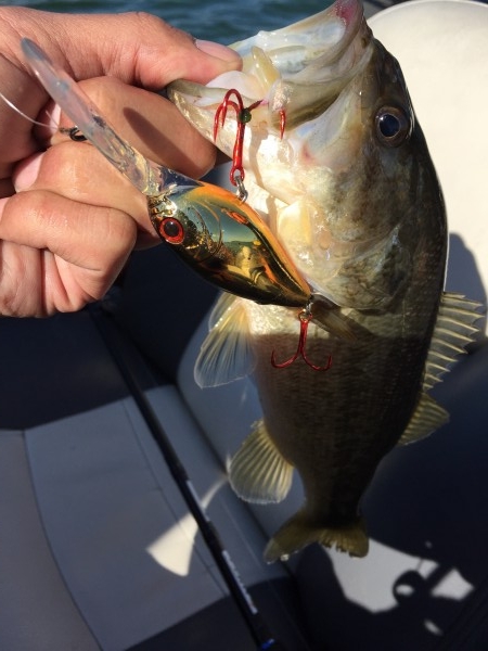 hideup 讓ｪ螻ｱ逶ｴ莠ｺ 繝悶Ο繧ｰ蜀咏悄 2016/03/22