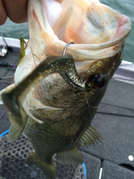 hideup 讓ｪ螻ｱ逶ｴ莠ｺ 繝悶Ο繧ｰ蜀咏悄 2014/04/21