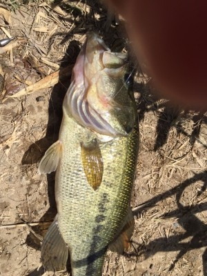 hideup 讓ｪ螻ｱ逶ｴ莠ｺ 繝悶Ο繧ｰ蜀咏悄 2016/05/05