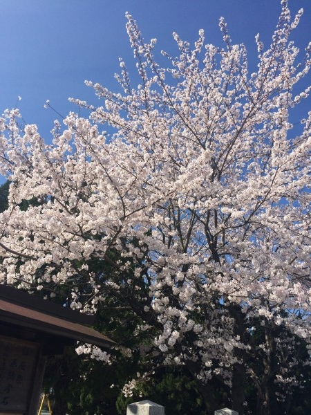 hideup 讓ｪ螻ｱ逶ｴ莠ｺ 繝悶Ο繧ｰ蜀咏悄 2014/04/03