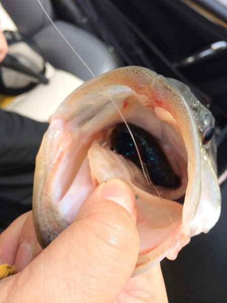 hideup 讓ｪ螻ｱ逶ｴ莠ｺ 繝悶Ο繧ｰ蜀咏悄 2014/04/19