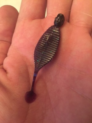 hideup 横山直人 ブログ写真 2015/02/13