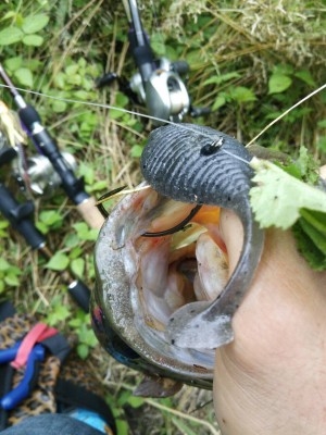 hideup 横山直人 ブログ写真 2015/06/08