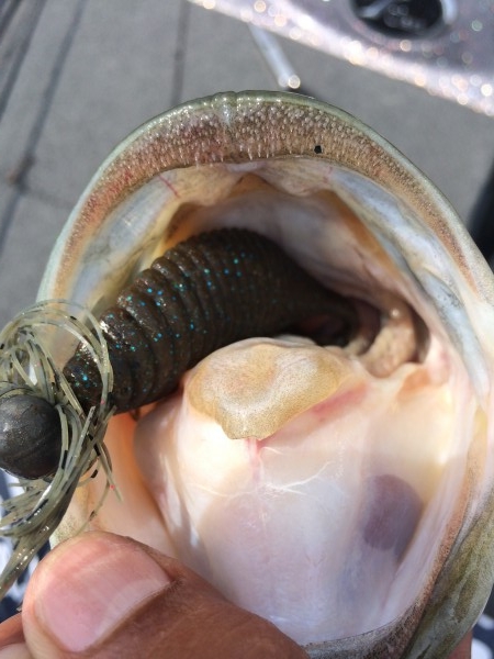 hideup 讓ｪ螻ｱ逶ｴ莠ｺ 繝悶Ο繧ｰ蜀咏悄 2014/07/12