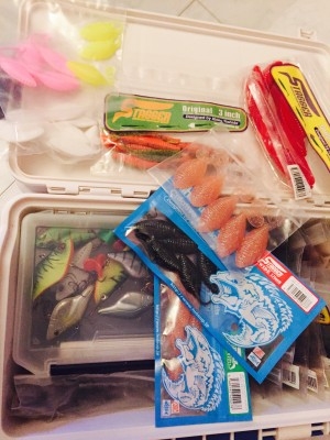 hideup 讓ｪ螻ｱ逶ｴ莠ｺ 繝悶Ο繧ｰ蜀咏悄 2015/08/17