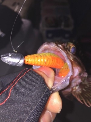 hideup 横山直人 ブログ写真 2015/01/14