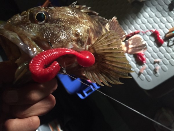 hideup 讓ｪ螻ｱ逶ｴ莠ｺ 繝悶Ο繧ｰ蜀咏悄 2015/09/01