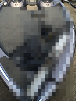 hideup 讓ｪ螻ｱ逶ｴ莠ｺ 繝悶Ο繧ｰ蜀咏悄 2014/05/09