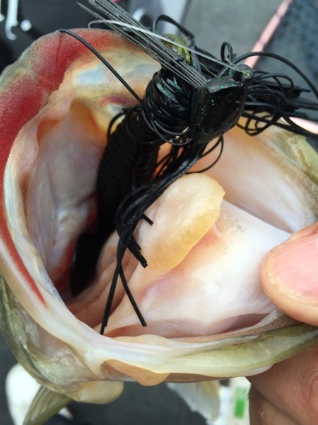 hideup 讓ｪ螻ｱ逶ｴ莠ｺ 繝悶Ο繧ｰ蜀咏悄 2016/03/19