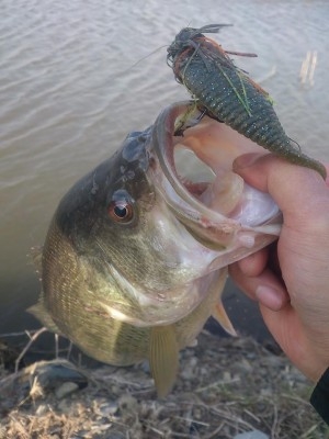 hideup 讓ｪ螻ｱ逶ｴ莠ｺ 繝悶Ο繧ｰ蜀咏悄 2014/04/16