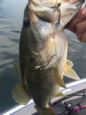 hideup 横山直人 ブログ写真 2015/05/10