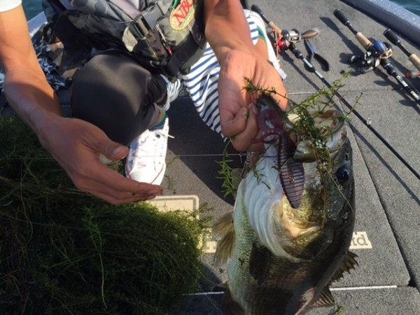 hideup 横山直人 ブログ写真 2016/08/03