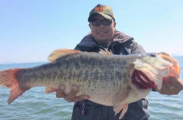 hideup 讓ｪ螻ｱ逶ｴ莠ｺ 繝悶Ο繧ｰ蜀咏悄 2014/03/24