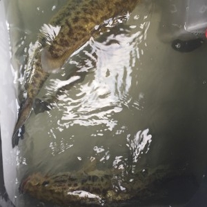 hideup 讓ｪ螻ｱ逶ｴ莠ｺ 繝悶Ο繧ｰ蜀咏悄 2016/05/15