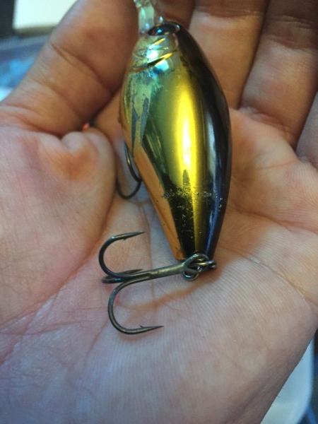 hideup 横山直人 ブログ写真 2016/11/05