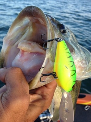 hideup 横山直人 ブログ写真 2014/10/14