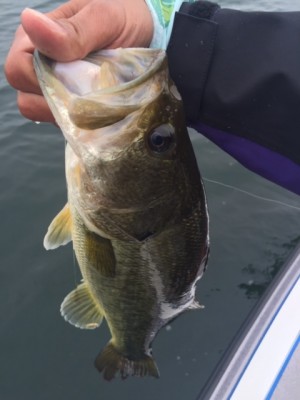 hideup 横山直人 ブログ写真 2015/05/10