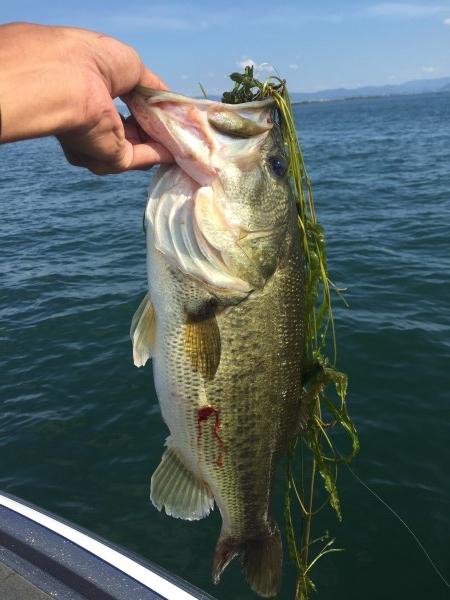 hideup 讓ｪ螻ｱ逶ｴ莠ｺ 繝悶Ο繧ｰ蜀咏悄 2016/07/04