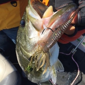 hideup 讓ｪ螻ｱ逶ｴ莠ｺ 繝悶Ο繧ｰ蜀咏悄 2014/10/19