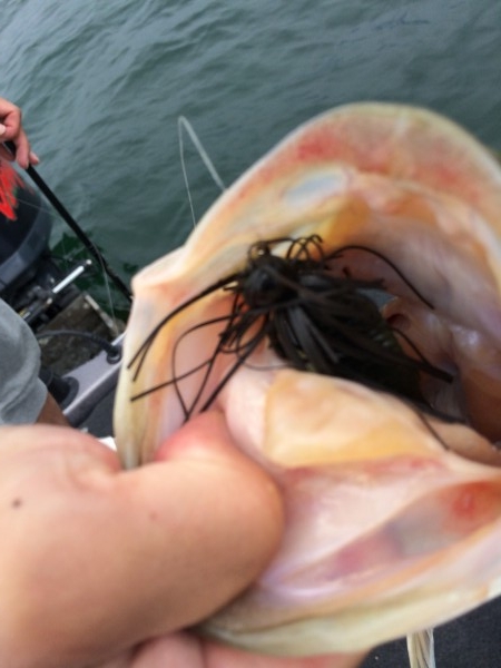 hideup 讓ｪ螻ｱ逶ｴ莠ｺ 繝悶Ο繧ｰ蜀咏悄 2014/07/14