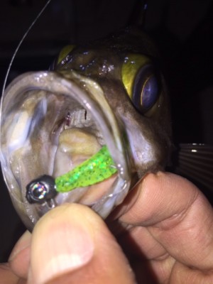 hideup 横山直人 ブログ写真 2015/03/23