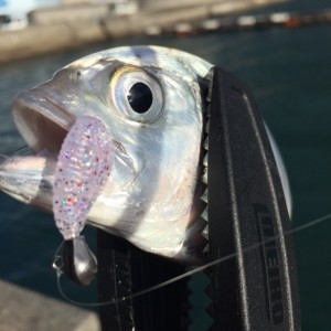 hideup 横山直人 ブログ写真 2015/12/17