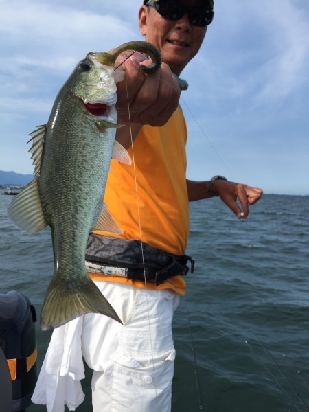 hideup 讓ｪ螻ｱ逶ｴ莠ｺ 繝悶Ο繧ｰ蜀咏悄 2016/08/11