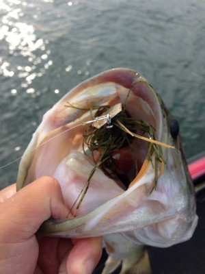 hideup 横山直人 ブログ写真 2013/08/04