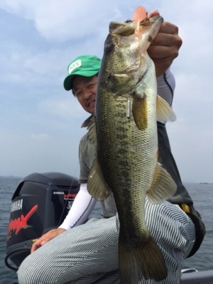 hideup 讓ｪ螻ｱ逶ｴ莠ｺ 繝悶Ο繧ｰ蜀咏悄 2015/06/14