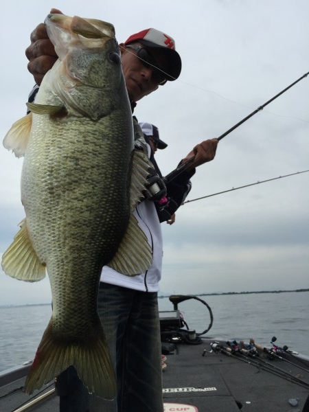 hideup 讓ｪ螻ｱ逶ｴ莠ｺ 繝悶Ο繧ｰ蜀咏悄 2016/07/07