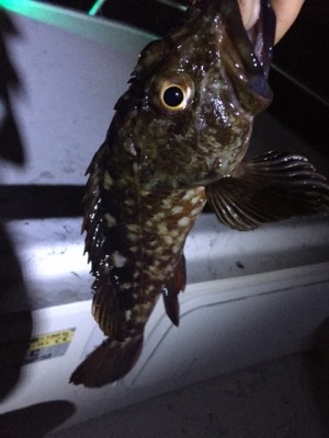 hideup 横山直人 ブログ写真 2015/02/05