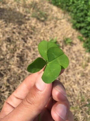 hideup 横山直人 ブログ写真 2015/04/12