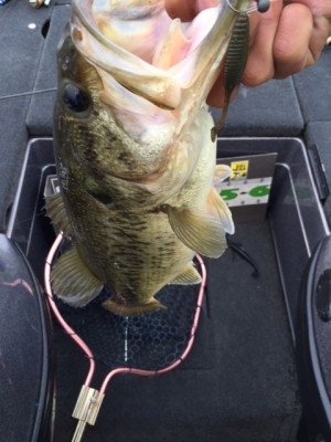 hideup 横山直人 ブログ写真 2015/04/19