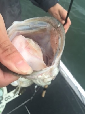 hideup 横山直人 ブログ写真 2014/11/02