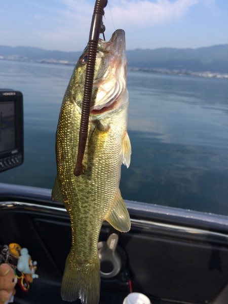 hideup 讓ｪ螻ｱ逶ｴ莠ｺ 繝悶Ο繧ｰ蜀咏悄 2014/09/10