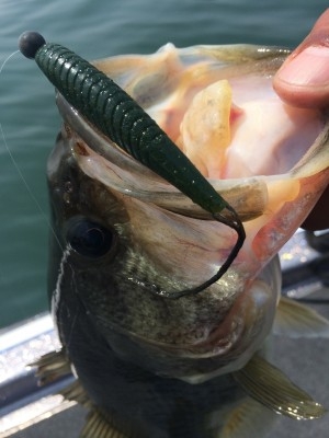 hideup 横山直人 ブログ写真 2015/04/08