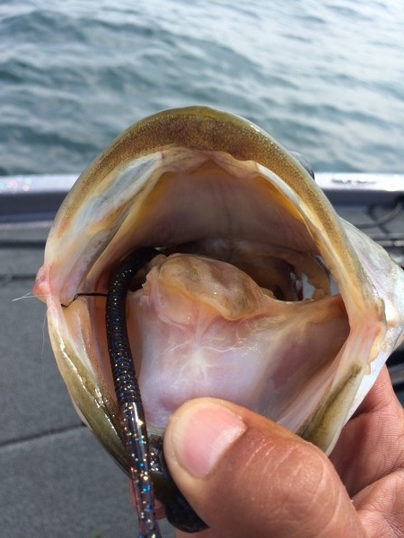 hideup 讓ｪ螻ｱ逶ｴ莠ｺ 繝悶Ο繧ｰ蜀咏悄 2014/07/21