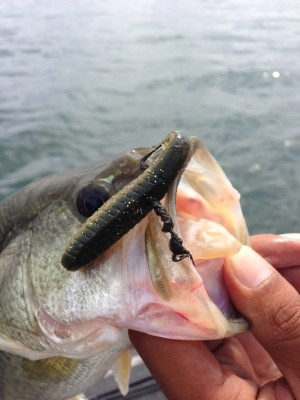 hideup 横山直人 ブログ写真 2013/07/07