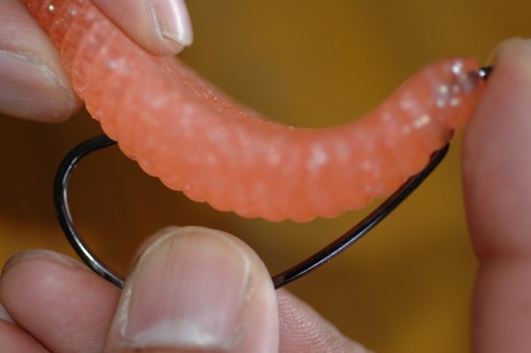 hideup 横山直人 ブログ写真 2015/05/10