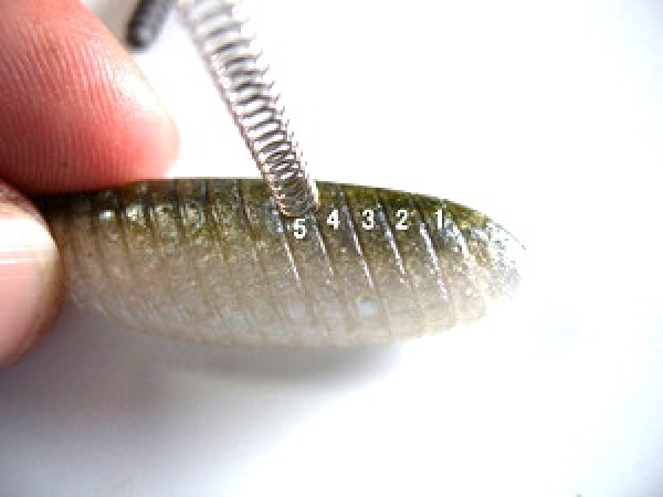 hideup 横山直人 ブログ写真 2013/07/11