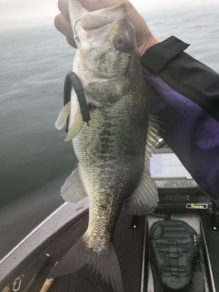 hideup 横山直人 ブログ写真 2017/04/08