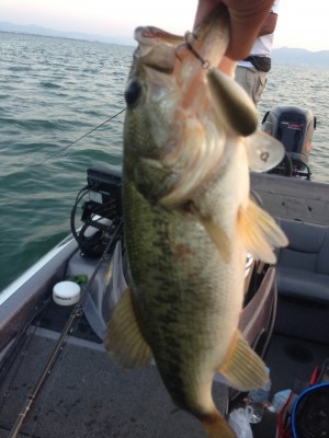 hideup 横山直人 ブログ写真 2013/10/04