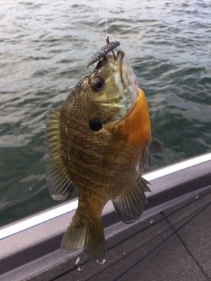 hideup 横山直人 ブログ写真 2015/01/15