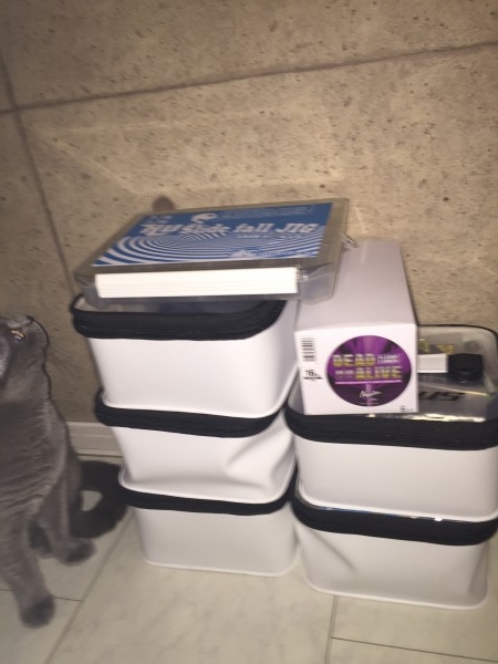 hideup 讓ｪ螻ｱ逶ｴ莠ｺ 繝悶Ο繧ｰ蜀咏悄 2016/04/07