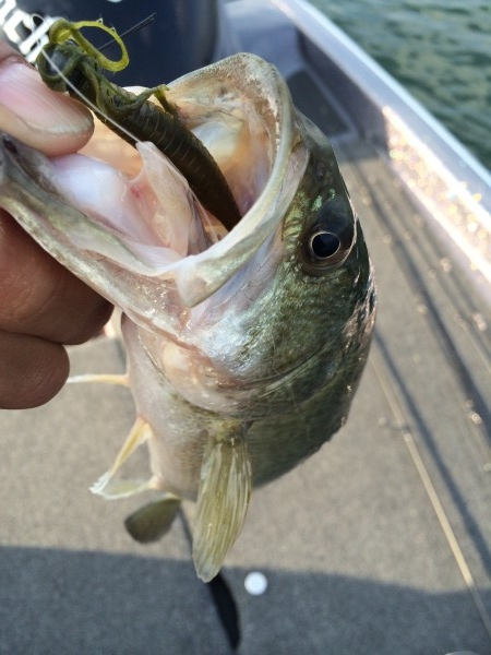 hideup 讓ｪ螻ｱ逶ｴ莠ｺ 繝悶Ο繧ｰ蜀咏悄 2014/05/10