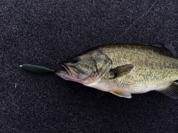 hideup 讓ｪ螻ｱ逶ｴ莠ｺ 繝悶Ο繧ｰ蜀咏悄 2014/07/16