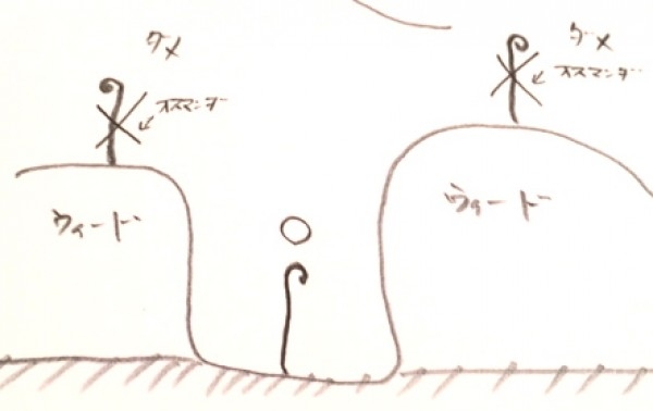 hideup 横山直人 ブログ写真 2014/03/10