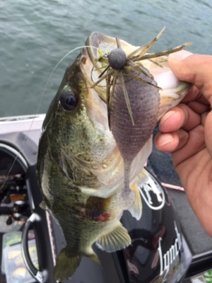 hideup 横山直人 ブログ写真 2015/05/24